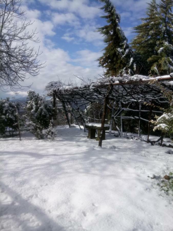 Casa Bartolacci Cozy Apartment Bivigliano Luaran gambar